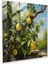 Gerçekçi Limon Ağacı Cam Baskı - Limon Ağacı, Ev Dekorasyonu, Cam Sanatı, Full Bloom, 30X30 1
