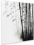 Zen Bambu Ormanı Cam Baskı - Zen, Cam Sanatı, Huzurlu, Ev Dekorasyonu, 50X50 1