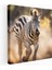 Zebra Duvar Tablosu - Hareket Bulanıklığı Kanvas Tablo - Zebra, Hareket Bulanıklığı, Zebra, Duvar Tablosu, 30X30 1