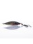 Pandora Jig Coin Realistic 14 G - Color #12 1