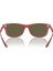 Rayban RB4607M F62830 55 Güneş Gözlüğü 3
