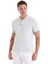 Gri Regular Fit Düz Polo Yaka Tişört 4