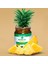Bromelain'li Nar Ekşili Form Macunu 240 gr - 3 Kutu 5