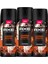 Premium Collection Erkek Sprey Deodorant Copper Santal 72 Saat Ferahlık 150 Ml X3 2