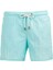 Mint Su Itici Özellikli Naylon Kumaş Düz Renk Basic Erkek Plaj Deniz Şort Mayo - 540-MINT 1