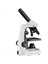 Junior Microscope With Magnification 40X-2000X 4