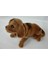 3 Adet Kafa Sallayan Köpek Araç Içi Aksesuar 17X9X7 cm Farklı Renklerde 3