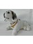 3 Adet Kafa Sallayan Köpek Araç Içi Aksesuar 17X9X7 cm Farklı Renklerde 4