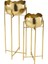 Bowl Gold Metal Saksı / S 2