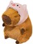 Capybara Oda Dekoru Dekoratif Boy Pig ve M (Yurt Dışından) 3