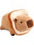 Kız Malzemeleri Için Capybara Süsleri (Yurt Dışından) 1