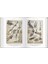 Leonardo da Vinci The Graphic Work 7