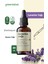 Lavanta Yağı 20 ml 1