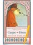 Carpe Diem - Öte Alem - Ömer Hayyam - Kader Çarkı - 3 Kitap 2