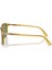 Po 3019S 204/4E 52 Persol Güneş Gözlüğü 2