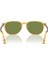 Po 3019S 204/4E 52 Persol Güneş Gözlüğü 3