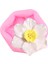 CC462 Tarzı Çiçek Çiçeği Silikon Kalıp Frangipani Plumeria Çiçek Çikolata Fondan Kalıpları Kek Dekorasyon Araçları Şeker Polimer Kil Kalıp (Yurt Dışından) 1