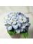 M2173 Tarzı Dıy Ortanca Çiçek Veiner Silikon Kalıp Yaprak Kalıp Petal Fondan Formu Sugarcraft Şeker Kek Dekorasyon Araçları Bakeware (Yurt Dışından) 4