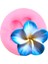 CE519 Tarzı Çiçek Çiçeği Silikon Kalıp Frangipani Plumeria Çiçek Çikolata Fondan Kalıpları Kek Dekorasyon Araçları Şeker Polimer Kil Kalıp (Yurt Dışından) 1