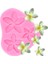 CE519 Tarzı Çiçek Çiçeği Silikon Kalıp Frangipani Plumeria Çiçek Çikolata Fondan Kalıpları Kek Dekorasyon Araçları Şeker Polimer Kil Kalıp (Yurt Dışından) 5