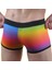 Modlive Renkli Erkek Boxer 4