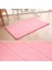 Pembe Tarzı 40X60CM 40*60 cm Su Emme Halı Banyo Paspas Kapalı Absorbbs Paspas Shaggy Hafızalı Köpük Mercan Polar Kaymaz Kapı Paspasları (Yurt Dışından) 1