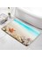 4263T-DD Stili 45X75CM Kum Plaj Mutfak Banyo Paspas Deniz Kabuğu Denizyıldızı Halılar Ev Odası Dekor Kaymaz Yumuşak Banyo Halıları Giriş Paspas Ayak Mat (Yurt Dışından) 2