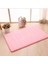 Pembe Tarzı 40-60CM Chayulu Ev Banyo Paspas Mercan Polar Banyo Halı Su Emme Kaymaz Bellek Köpük Emici Yıkanabilir Halı Tuvalet Zemin Mat (Yurt Dışından) 1