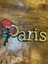 25X13 cm Pul Payettli Güllü Paris Yazı Arma Dikiş Aksesuarı 1