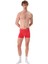 3'lü Erkek Pamuklu Boxer - Xpack 1 1