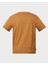 Linear Logo Short Sleeve Tee 2