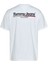 Tommy Jeans Erkek Regular Fit Rwb Tj Twıst Flag T-Shirt 2
