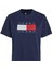 Tjw Bxy Tommy Flag Tee Ext 1
