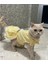 Sarı Beyaz Kareli Fiyonklu Kedi Köpek Kıyafeti Elbisesi 1