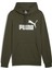 Ess Big Logo Hoodie Kadın Yeşil Sweatshirt 58668908 1