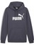 Ess Big Logo Hoodie 1