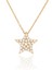 14 Ayar Altın Kolye Taşlı Yıldız Altın Kolye 45 cm Uzunluk 4