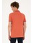 50284631-Vr042 Erkek Pudra Basic T-Shirt 5