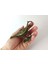 Alaaddin Sihirli Lamba Genie Lamp Ibrik Biblo 7 cm Antik Sarı 2