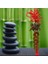 Feng Shui Şans ve Bereket Beşli Set Bagua Ayna Para Dragon ve Maneki Neko 4