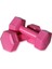 Tekno Trust Plastik 1 kg x 2 Adet Plastik Dambıl Pembe 2