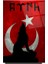 Kurt ve Bayrak Cam Tablo | Hediyelik, Dekoratif, Ofis, Mutfak 3