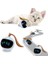 Kedi Oyuncak Dönen Topu Akıllı Interaktif Renkli LED Öz Dönen Top Kedi Aksesuarları USB Şarj Kitten Elektronik Top | Kedi Oyuncakları (Yurt Dışından) 2