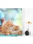 Interaktif Kedi Oyuncaklar Catnip Rulo Topu ile Teaser Sopa Tumbler Iq Geliştirmek Eğitim Oyuncaklar Kitten Oyna Eğlence Pet Malzemeleri | Kedi Oyuncakları (Yurt Dışından) 3