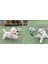 Interaktif Futbol Oyuncakları Küçük Köpekler Için Isırıl Dayanıklı Tpu Topu Evcil Hayvanlar Oyuncak Küçük Köpekler Için Açık Köpek Eğitim Aksesuarları | Köpek Oyuncakları (Yurt Dışından) 4