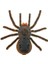 Elektronik Pet Uzaktan Kumanda Simülasyonu Tarantula Gözler Parlatıcı Akıllı Siyah Örümcek Cadılar Bayramı Rc Tricky Prank Korkunç Oyuncak Hediye | Gags ve Amp; Amp;pratik Şakalar (Yurt Dışından) 2