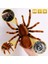 Elektronik Pet Uzaktan Kumanda Simülasyonu Tarantula Gözler Parlatıcı Akıllı Siyah Örümcek Cadılar Bayramı Rc Tricky Prank Korkunç Oyuncak Hediye | Gags ve Amp; Amp;pratik Şakalar (Yurt Dışından) 4