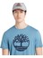 Tımberland Tree Logo Short Sleeve Tee TB0A2C2RDJ51 3