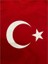 Ay Yıldız Türk Bayrağı Baskılı Çocuk T-Shirt Kırmızı 2