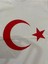 Ay Yıldız Türk Bayrağı Baskılı Çocuk T-Shirt 2